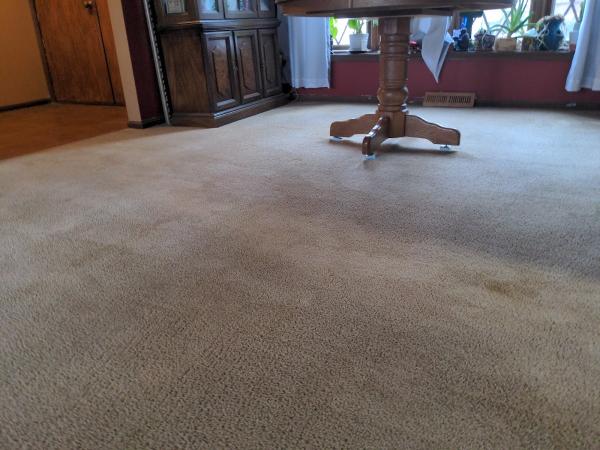 Excel Carpet and Tile Cleaning