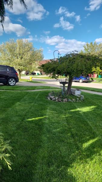 Family Yard Man