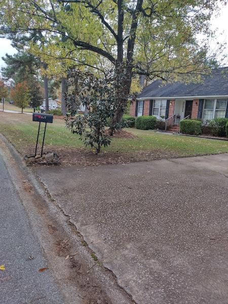 Rise-n-Grind Stump Grinding LLC