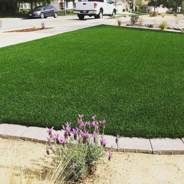 Land X Landscape Construction