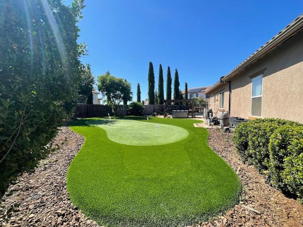 The Turf Man Inc