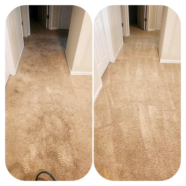Archer Carpet and Tile Cleaning