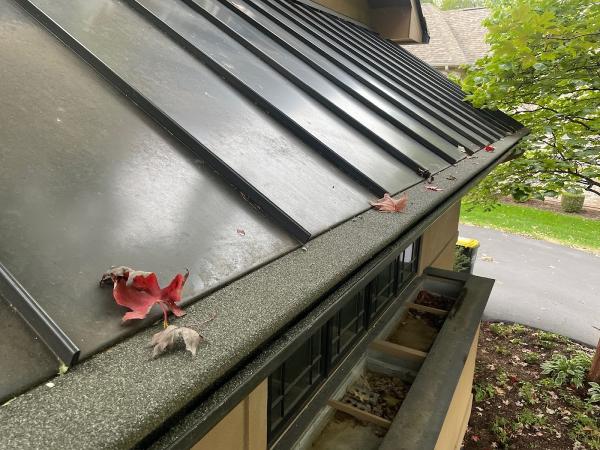 Turtle Shell Gutter Protection