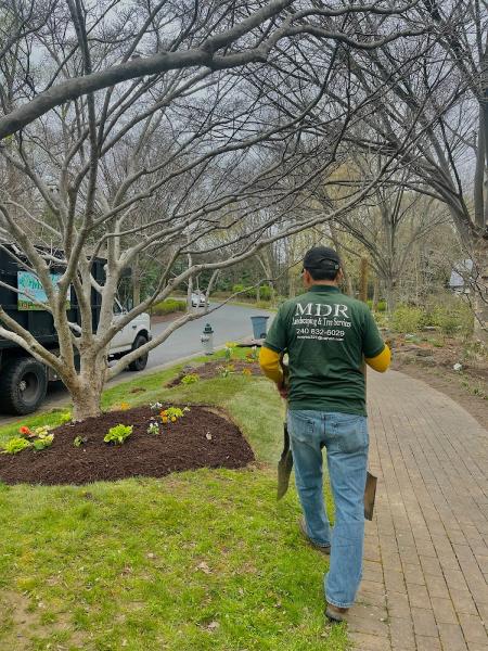 MDR Landscaping and Tree Service