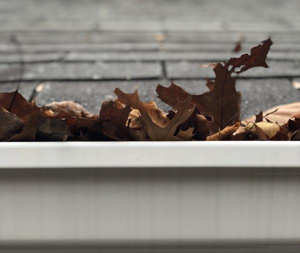 Vito's Gutter Cleaning