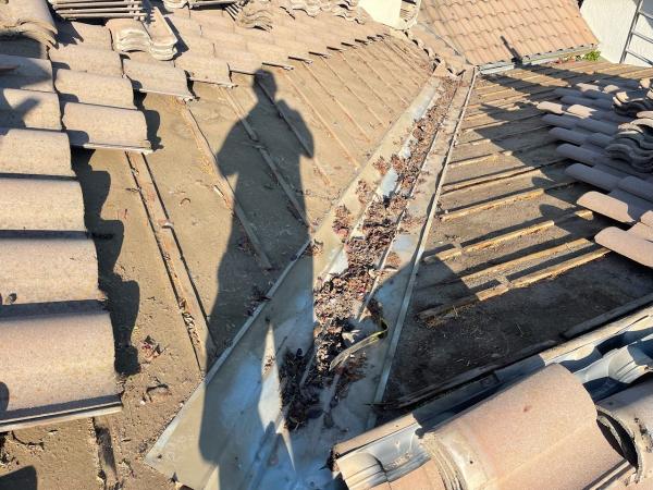 Roof Recovery