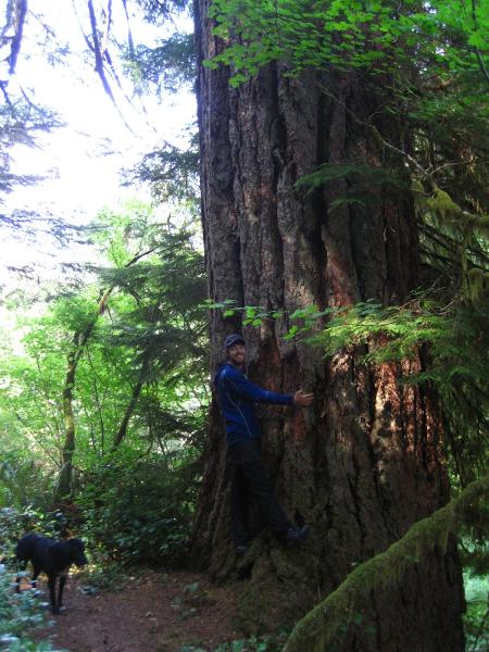 Peak Tree Care Inc.