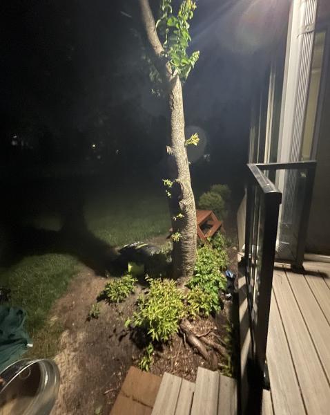Gene's Residential Excavating