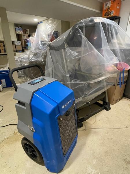 Green Guard Mold Specialist