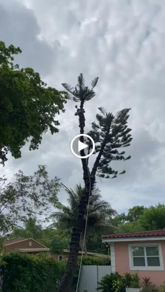 Javier Landscaping Inc