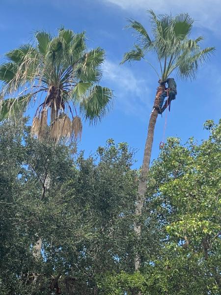 Javier Landscaping Inc
