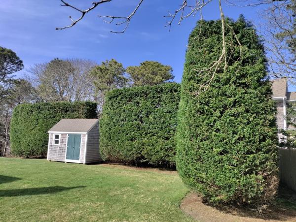 Lourenco Brother's Yardscape & Design