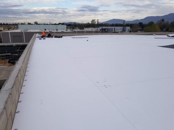 South Coast & Valley Roofing