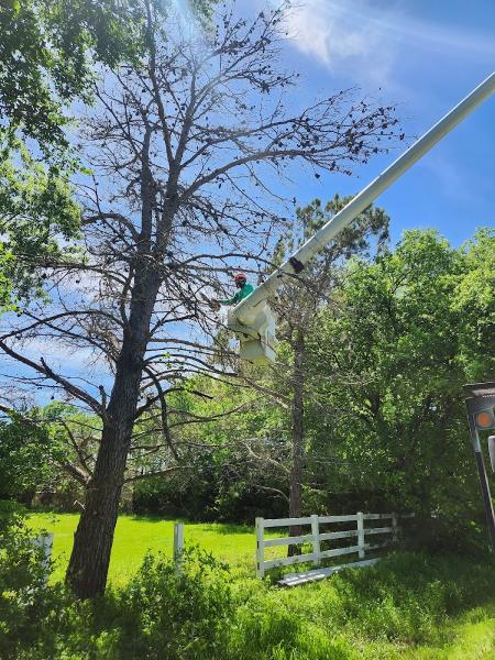 Stoker Tree Service