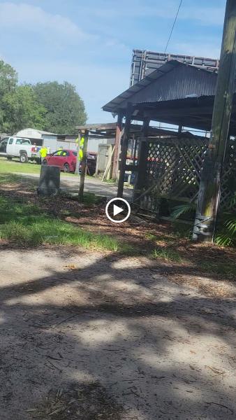 Florida Gardens & Landscaping