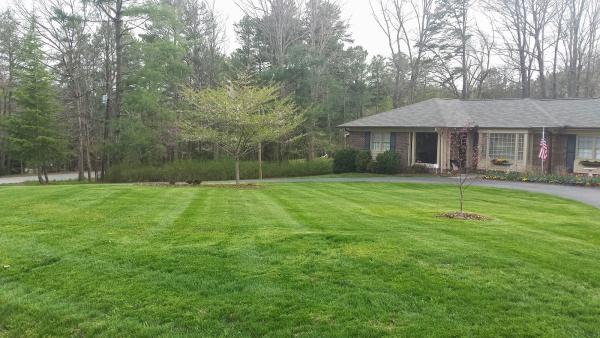 A Plus Landscaping & Maintenance