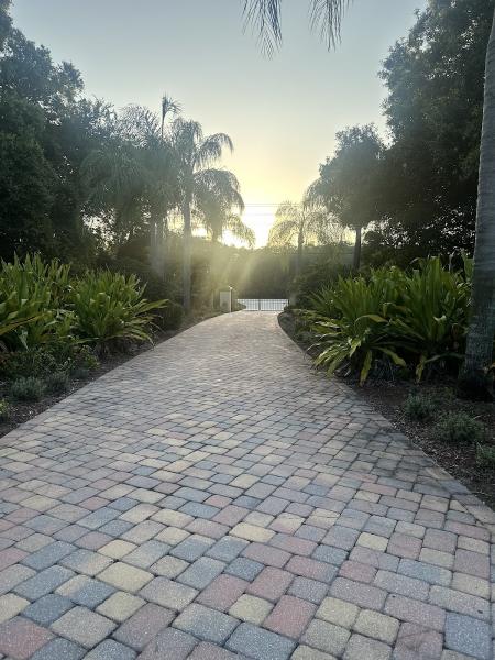 Tropical Oasis Landscaping