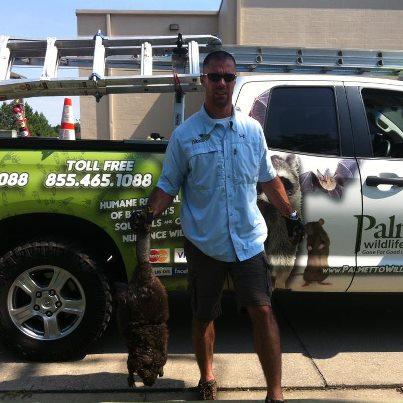 Palmetto Wildlife Extractors