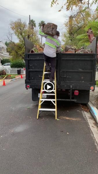Reynoso Tree Service Llc- Reliable Tree Service