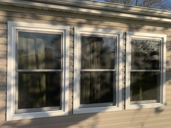 Bee Window