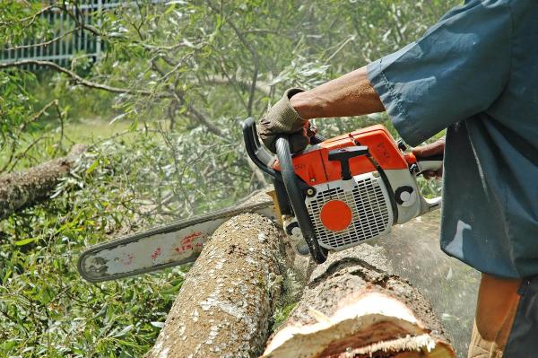 West Atlanta Tree Service