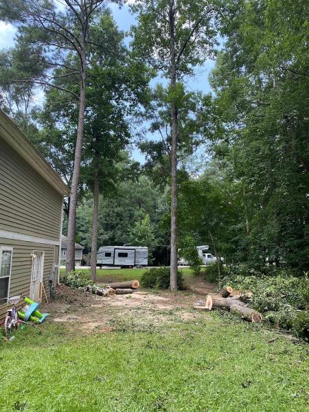 West Atlanta Tree Service