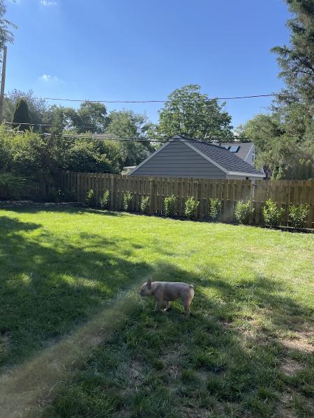 Greenhill Fencing Inc.