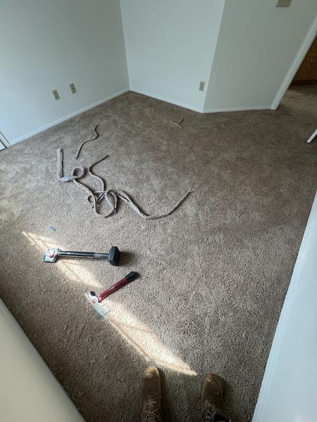 Champion Carpet Cleaning Las Vegas