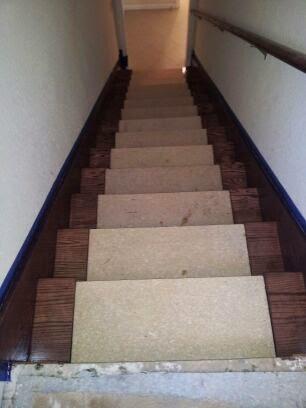 Delgado Carpet Services & Hardwood Floors