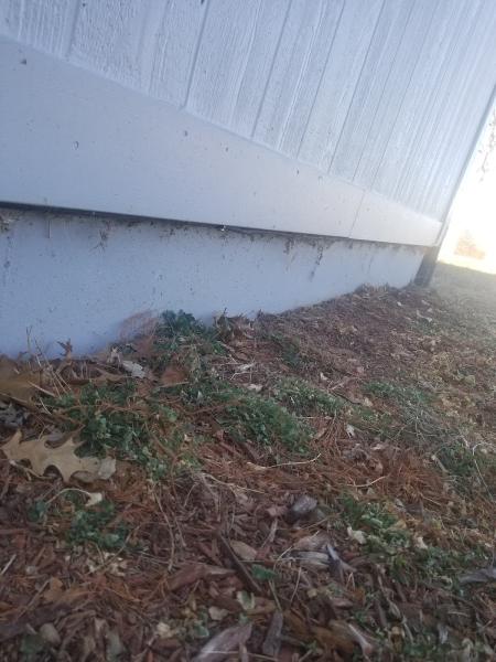 Echo Pest Control