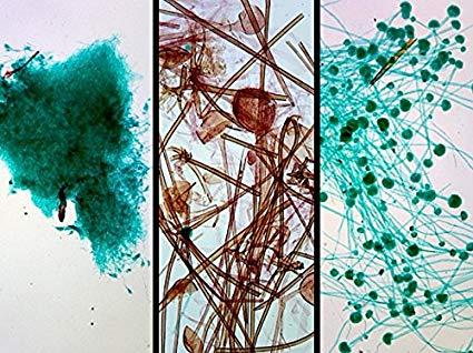 Environmental Research