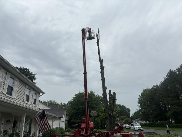 Cook Outdoor Contracting