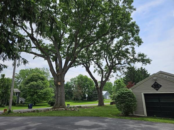Cook Outdoor Contracting
