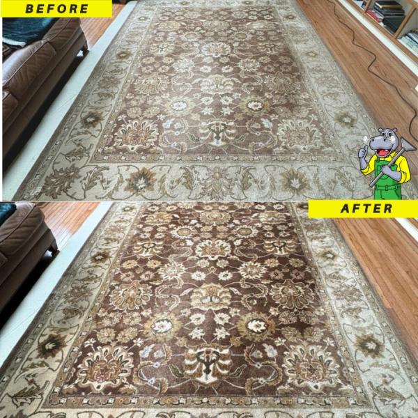 Steam Hippo Carpet Cleaning