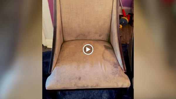 Steam Hippo Carpet Cleaning