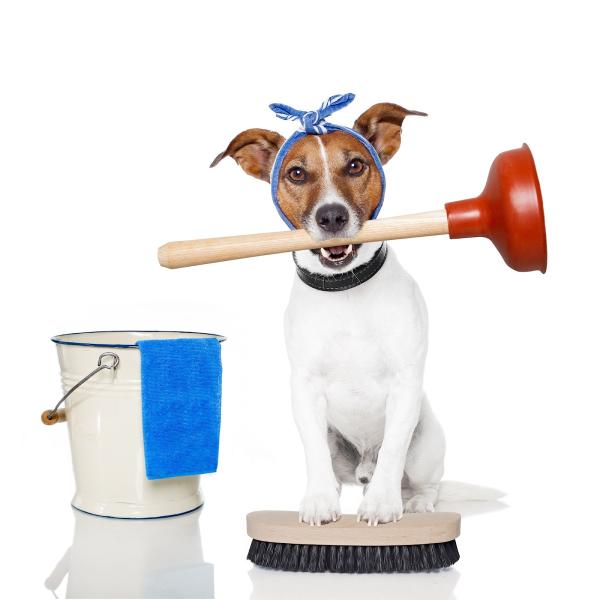 Vibrant Cleaning Services