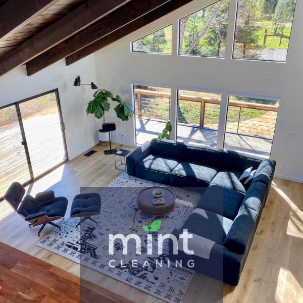 Mint Cleaning