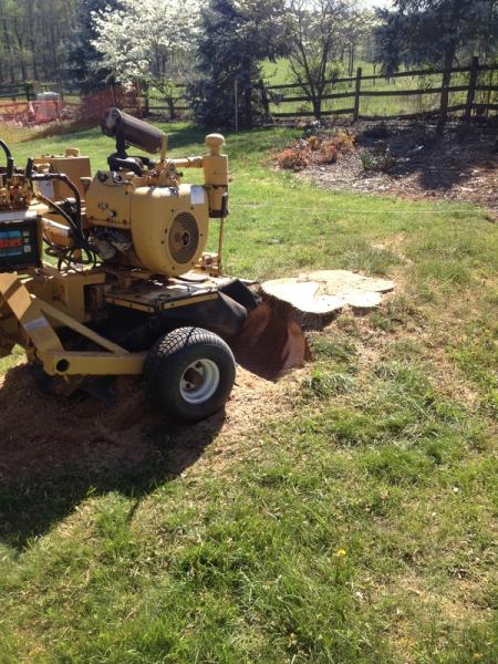 Satisfaction Tree Service