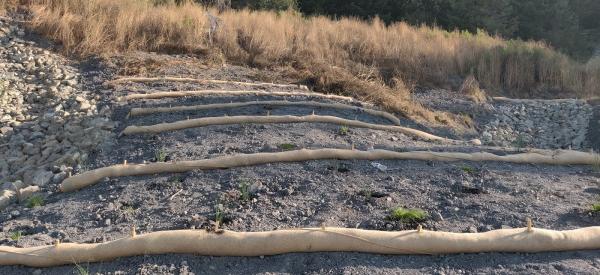 M & S Environmental Landscape