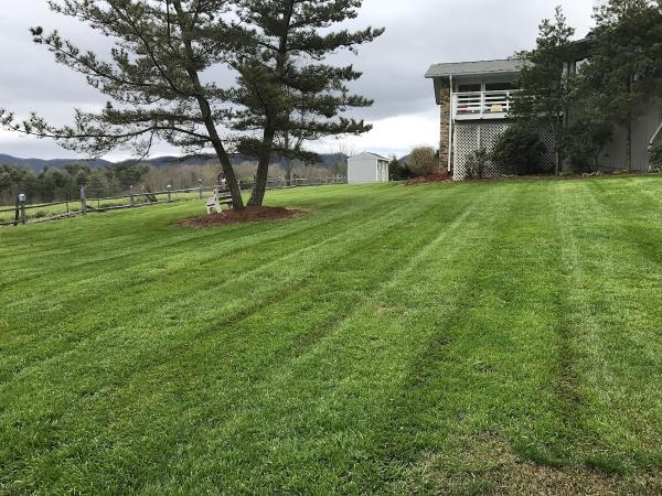 Happy's Lawn Care & Landscaping