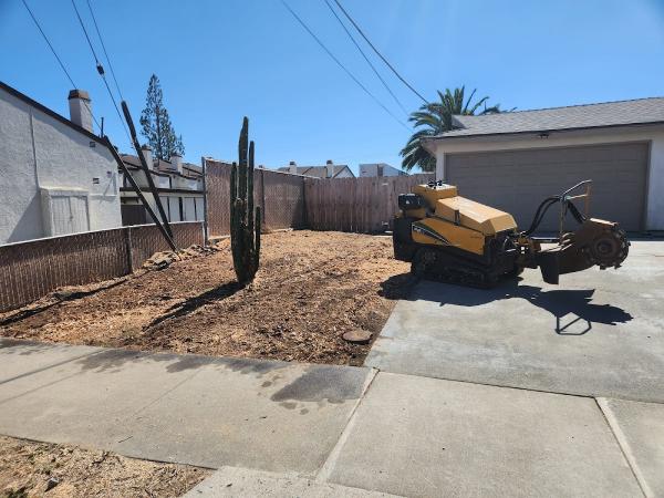 Escobar Tree Service & Stump Grinder