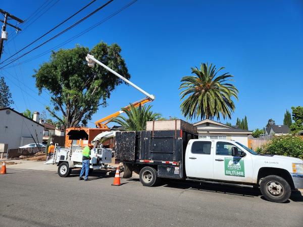 Escobar Tree Service & Stump Grinder