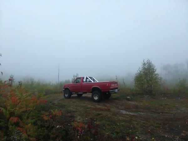 Family Tree Service LLC