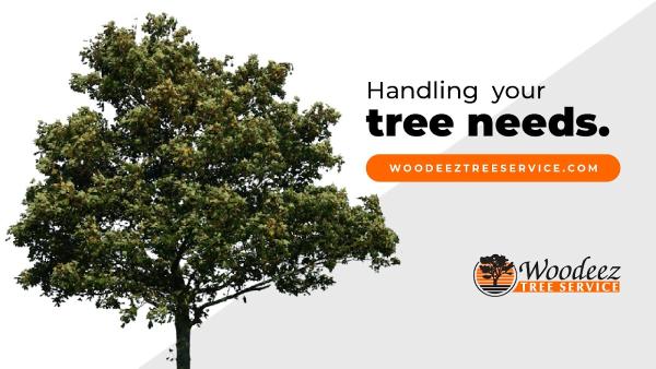 Woodeez Tree Service