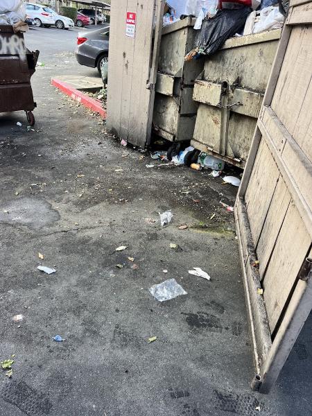 Junk Hunter Junk Removal
