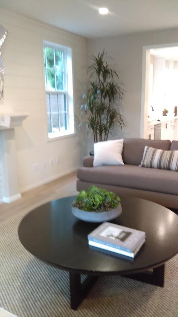 Calatlantic Homes at Tree Farm