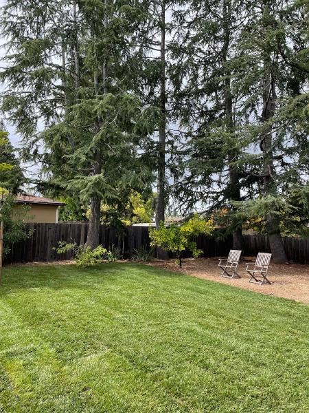Greener Bay Landscaping Inc.