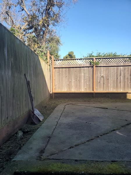 Greener Bay Landscaping Inc.