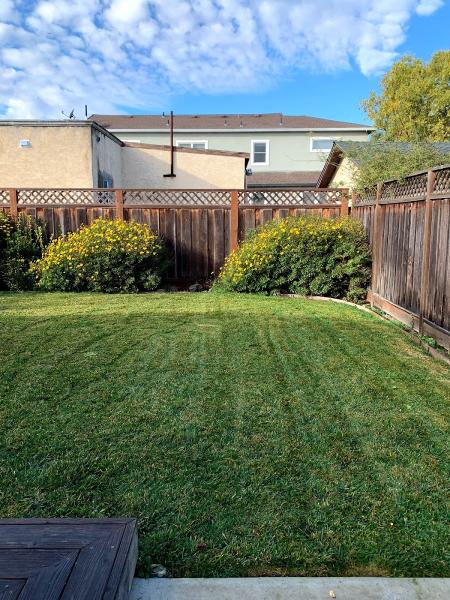 Greener Bay Landscaping Inc.