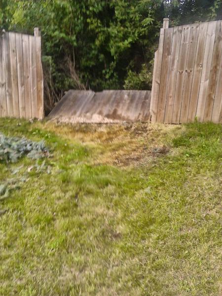 Axel's Professional Lawn & Tree Care